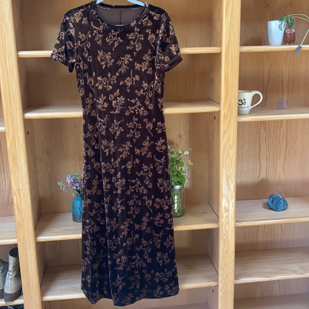 Vintage Velvet Dress